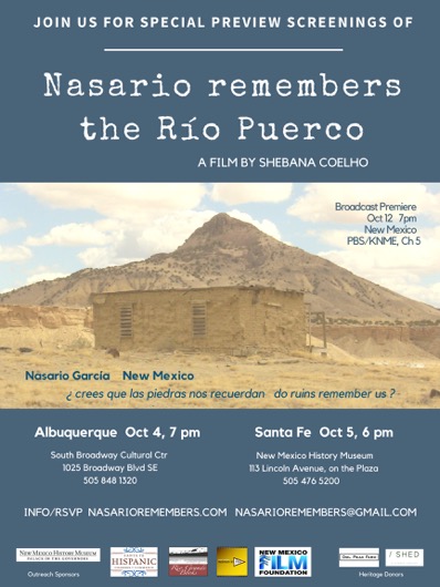 Nasario EFlyer-8